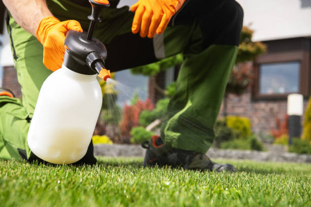 Best Wasp Removal Services  in Barberton, WA