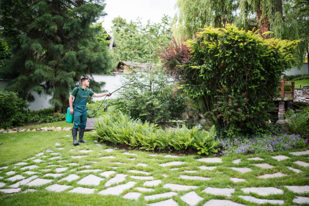 Best Residential Pest Control  in Barberton, WA