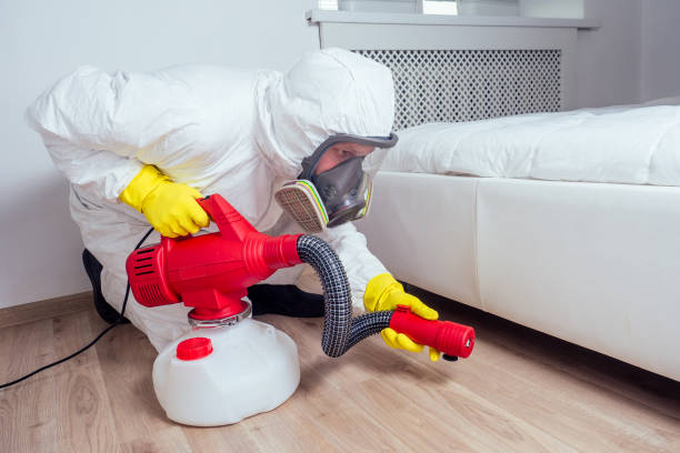 Best Rat Extermination Near Me  in Barberton, WA