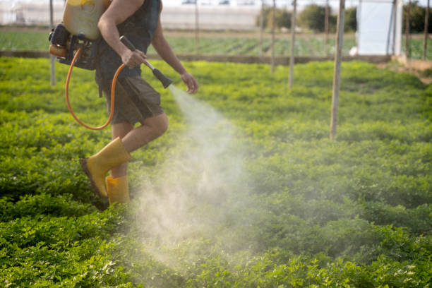 Best Pest Prevention Services  in Barberton, WA