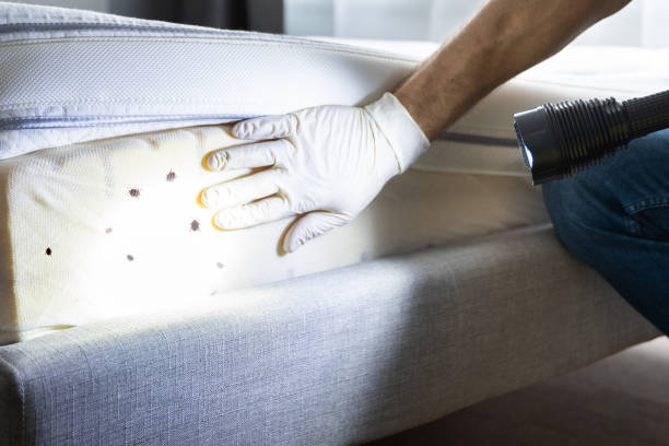 Best Pest Removal Services  in Barberton, WA