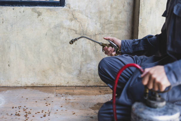 Best Ant Control Services  in Barberton, WA